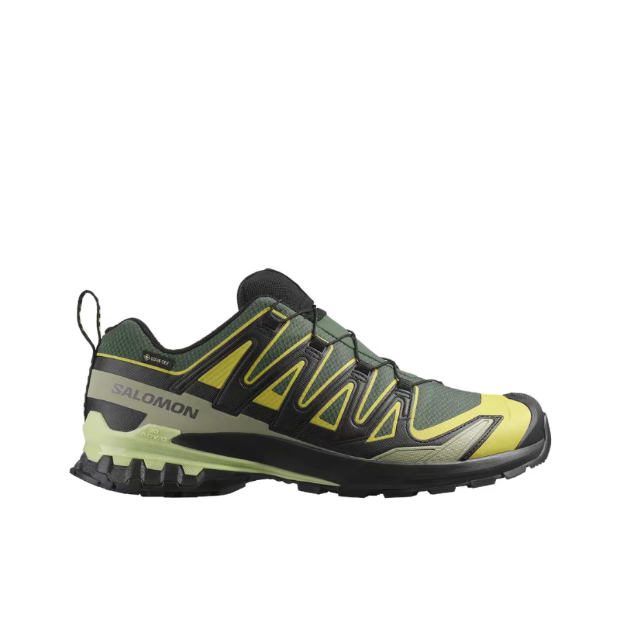 Salomon XA Pro 3D V9 GTX: Sepa - Salomon Shoes Xa Pro 3D ulasan dan harga