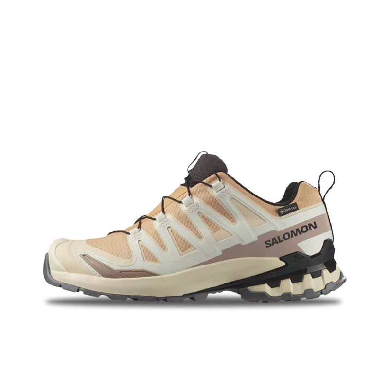 Salomon XA Pro 3D V9 GTX: Sepa - Salomon Shoes Xa Pro 3D ulasan dan harga