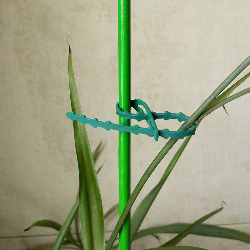 Pengikat kabel taman, 50/100 b - Gear Tie Reusable ulasan dan harga