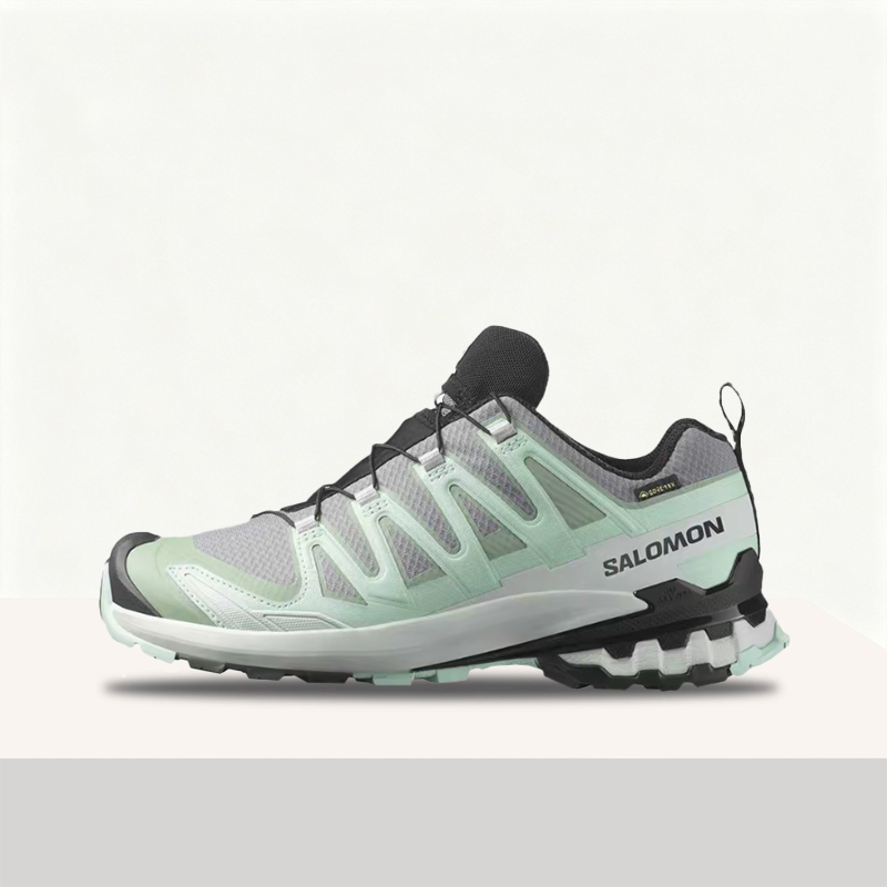 Salomon XA Pro 3D V9 GTX: Sepa - Salomon Shoes Xa Pro 3D ulasan dan harga