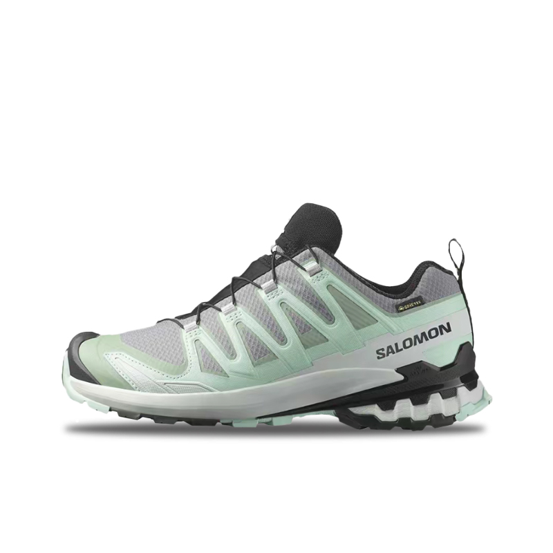 Salomon XA Pro 3D V9 GTX: Sepa - Salomon Shoes Xa Pro 3D ulasan dan harga
